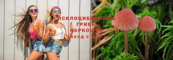 мяу мяу мука Абдулино