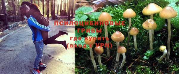 ALPHA-PVP Абинск
