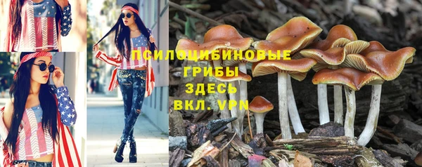 ALPHA-PVP Абинск