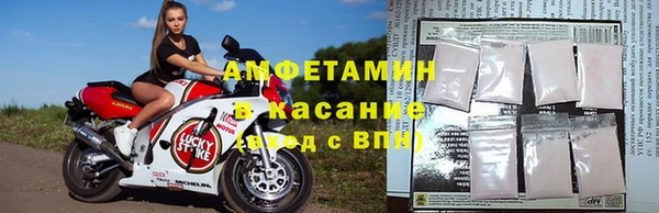 индика Козельск