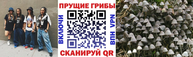 Псилоцибиновые грибы мицелий  где купить   Звенигород 