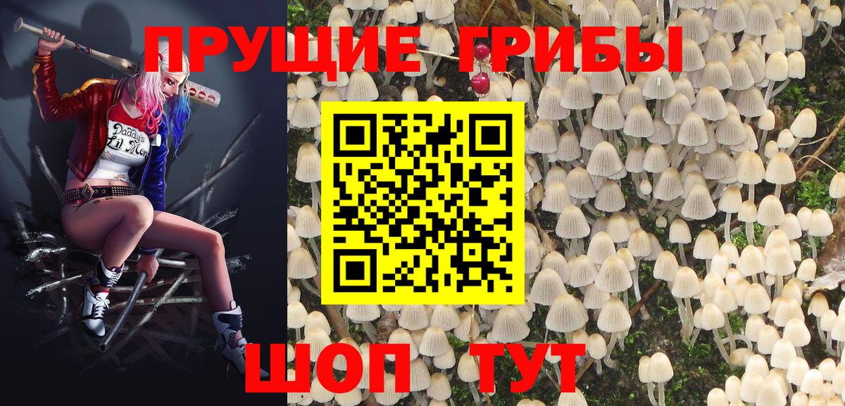 Звенигород  Галлюциногенные грибы мицелий  Вход с VPN 