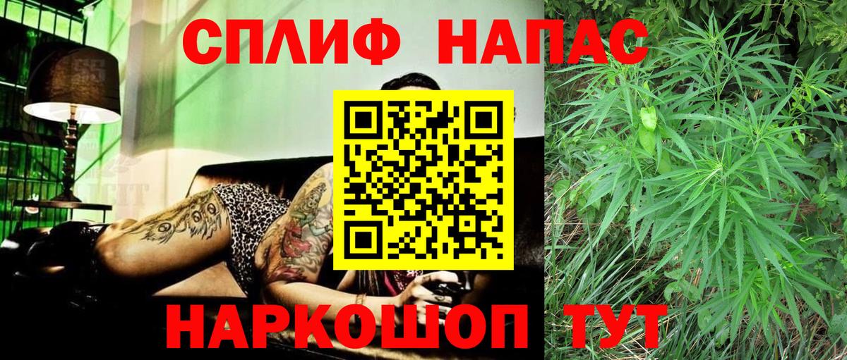 МАРИХУАНА семена Звенигород